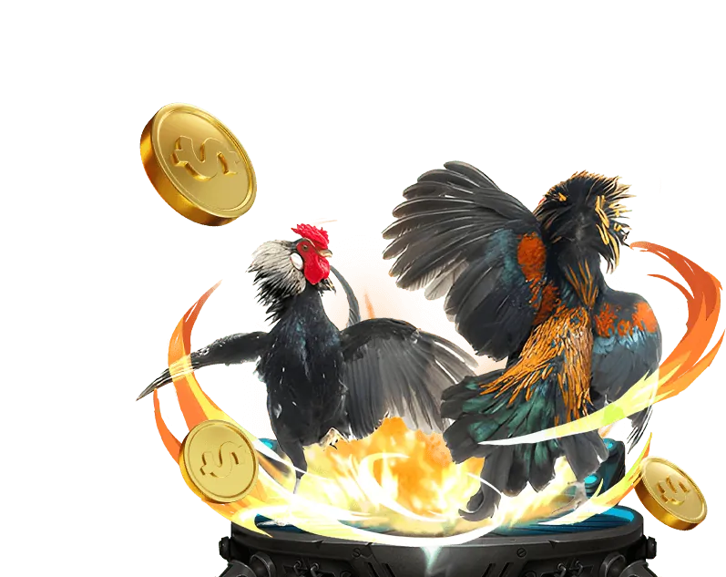 Cá cược thể thao đa dạng trên KO66